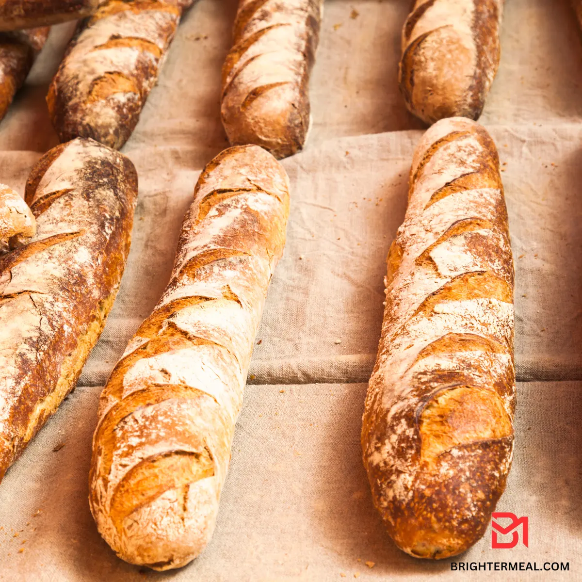 france bread recipe