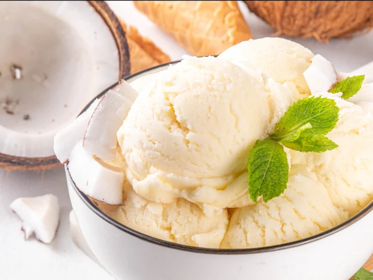 Ninja Creami vanilla ice cream recipe